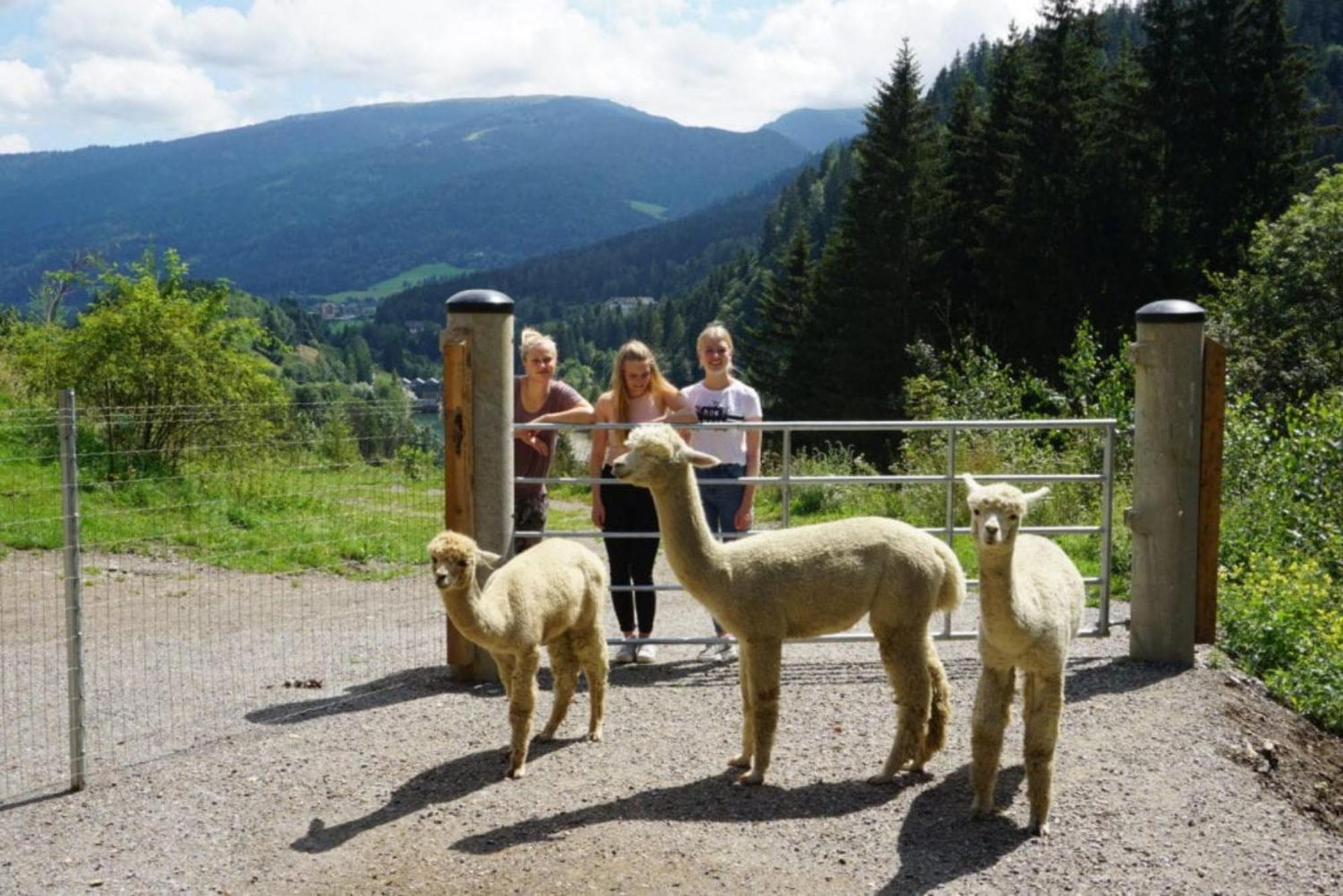 Vitalhof Am Kreischberg By Alps Resorts Bodendorf  Εξωτερικό φωτογραφία